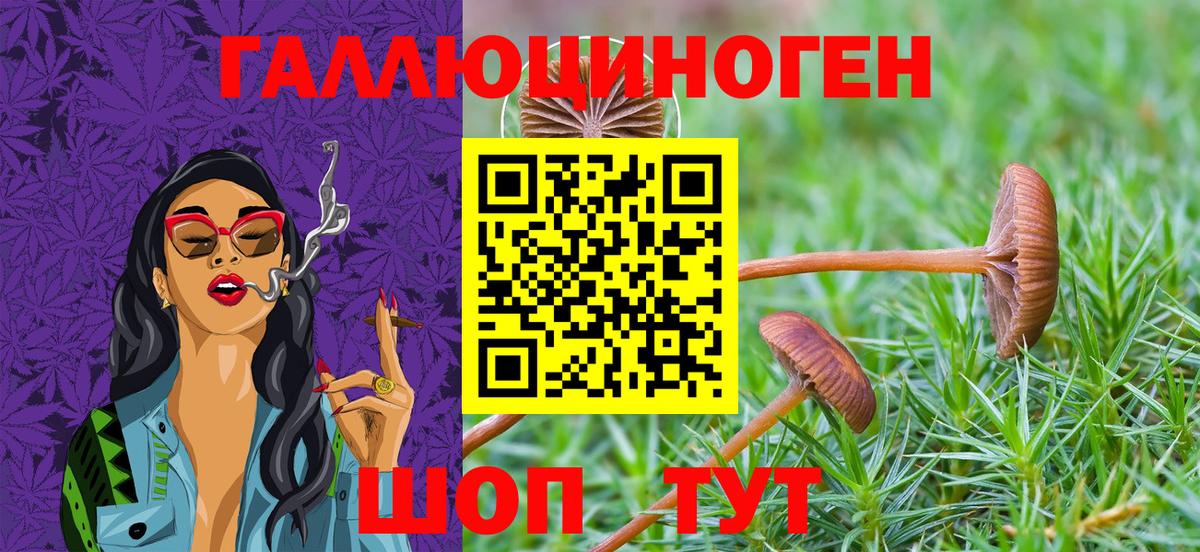 Галлюциногенные грибы Cubensis  Галлюциногенные грибы мухоморы  Полысаево  Вход с VPN 