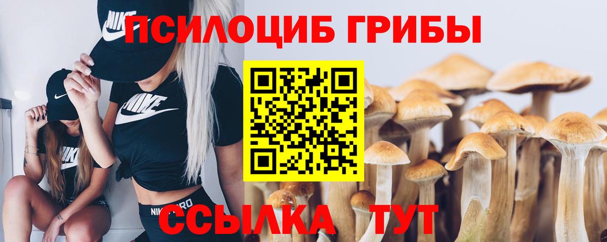 Псилоцибиновые грибы мицелий Полысаево